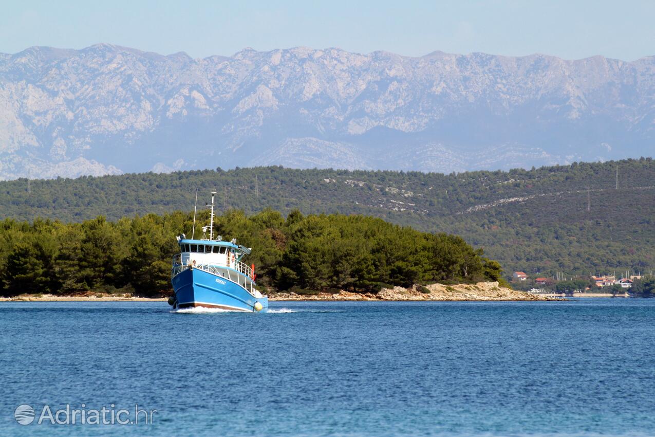 Ždrelac Pašman szigeten (Sjeverna Dalmacija)