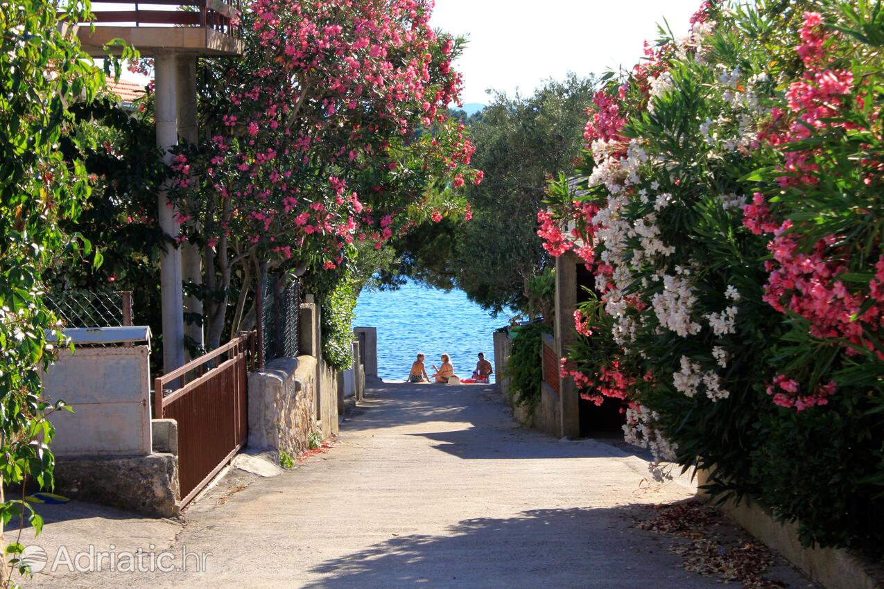 Ždrelac sur l’île Pašman (Sjeverna Dalmacija)