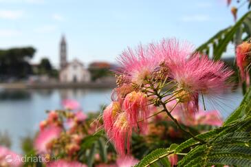 Zimmer am Meer Pasman - 8223
