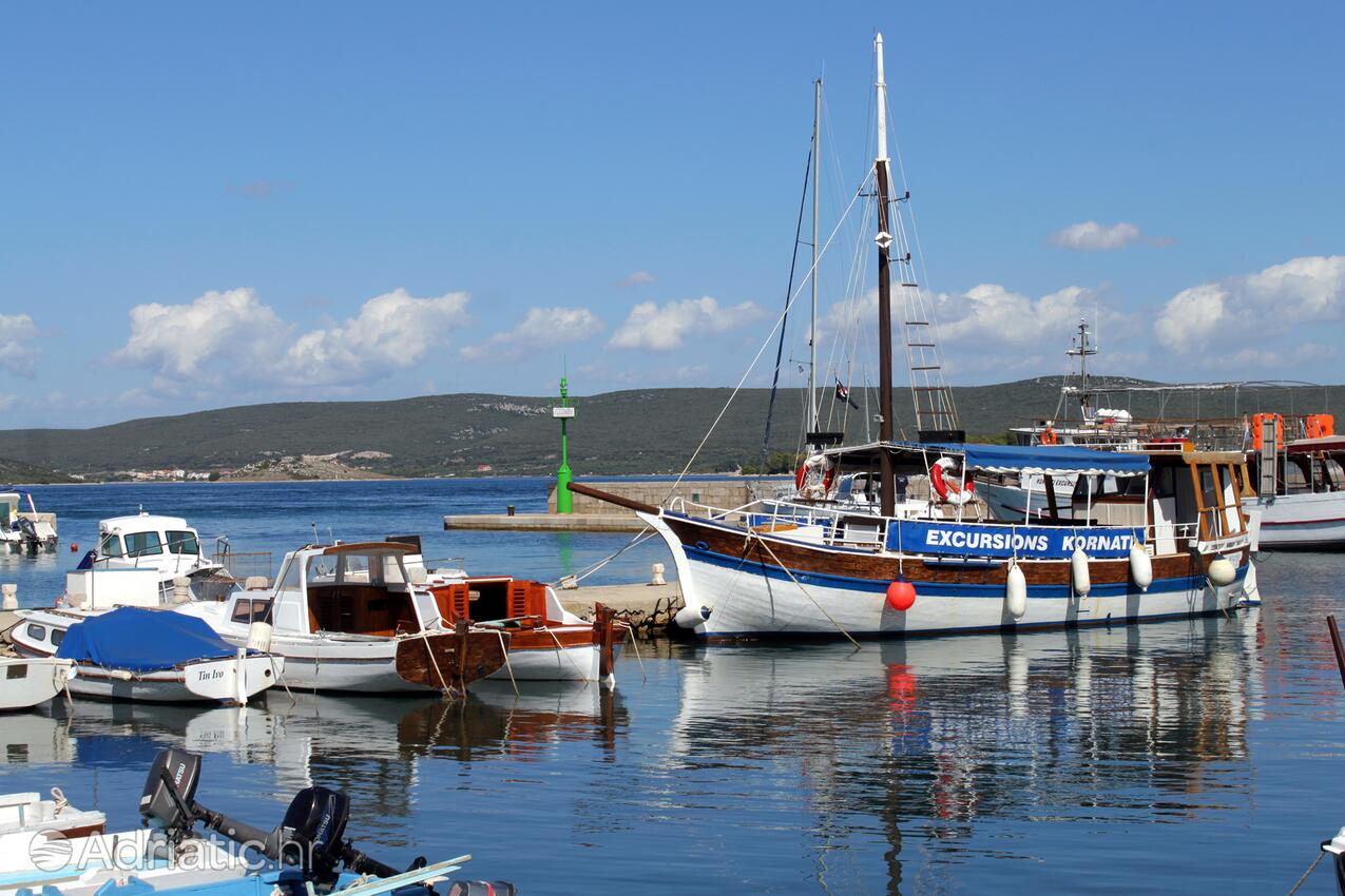 Pašman на острове Pašman (Sjeverna Dalmacija)