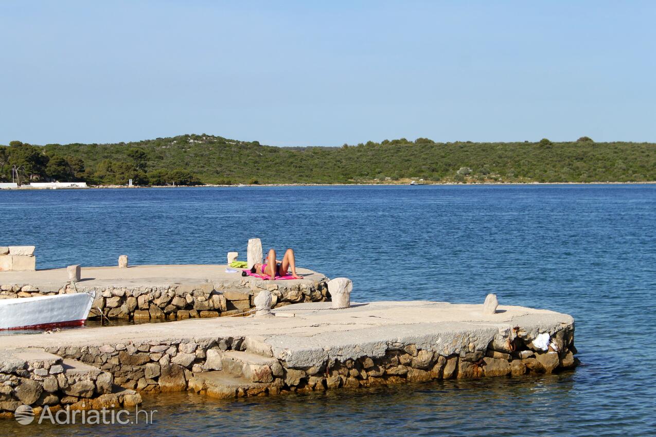 Pašman на острове Pašman (Sjeverna Dalmacija)