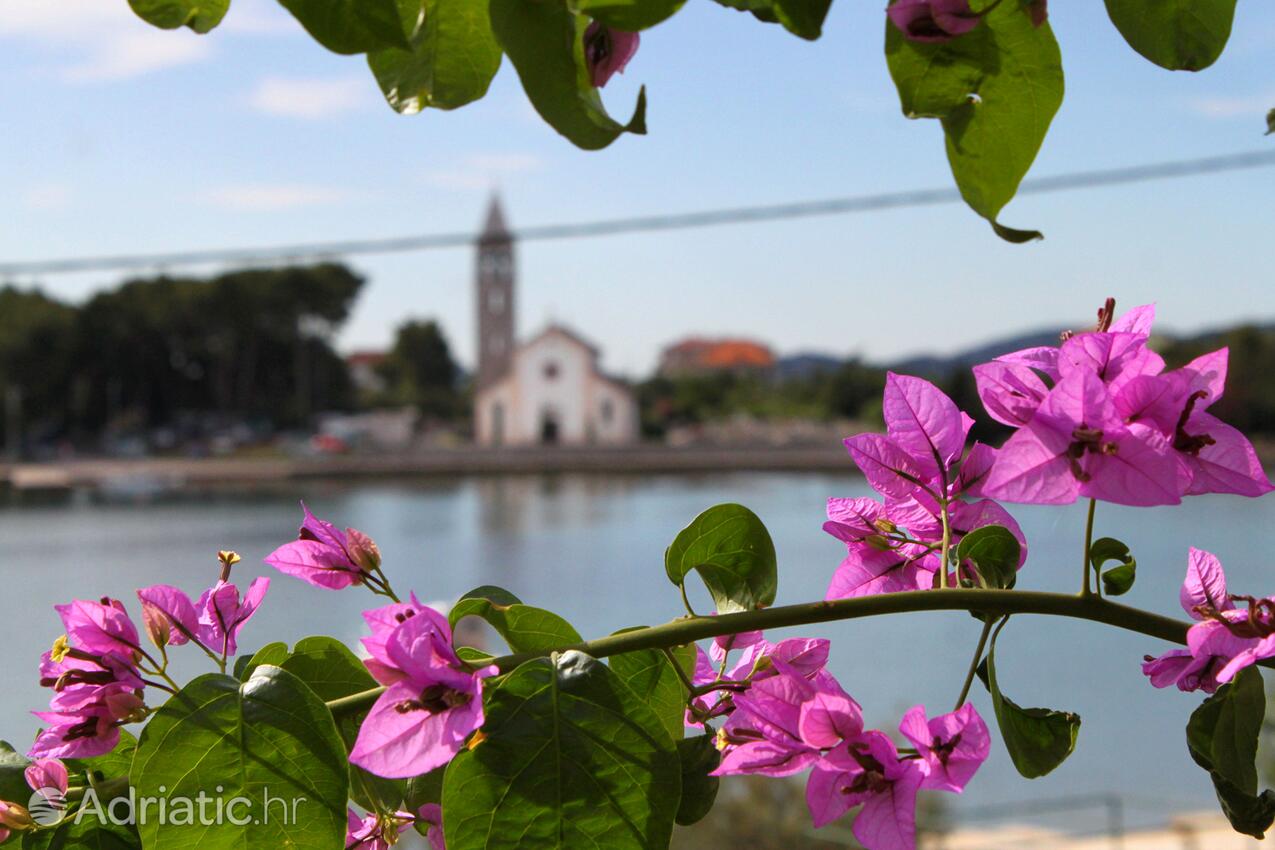 Pašman на острове Pašman (Sjeverna Dalmacija)