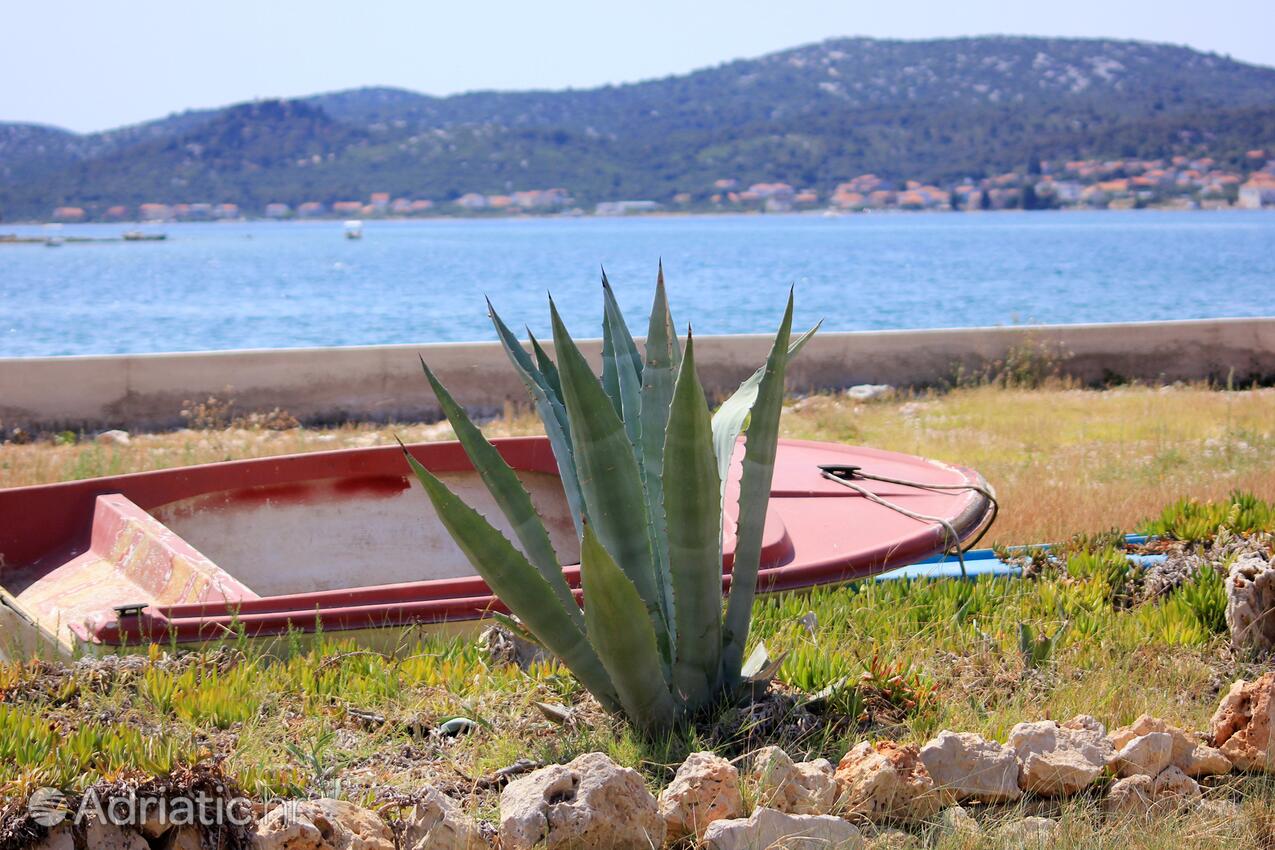 Pašman на острове Pašman (Sjeverna Dalmacija)