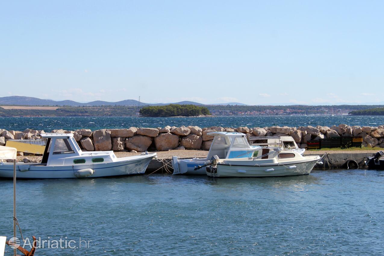 Kraj en la isla Pašman (Sjeverna Dalmacija)