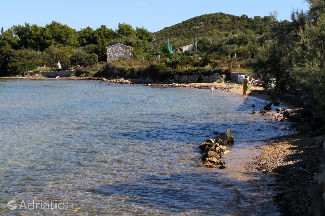 Nearby beaches - Apartments by the sea Tkon, Pašman