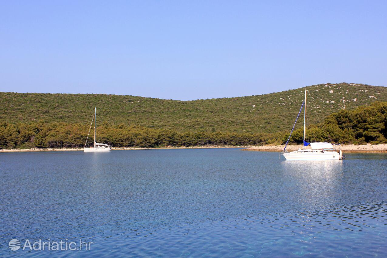 Žinčena op de route Pašman (Sjeverna Dalmacija)