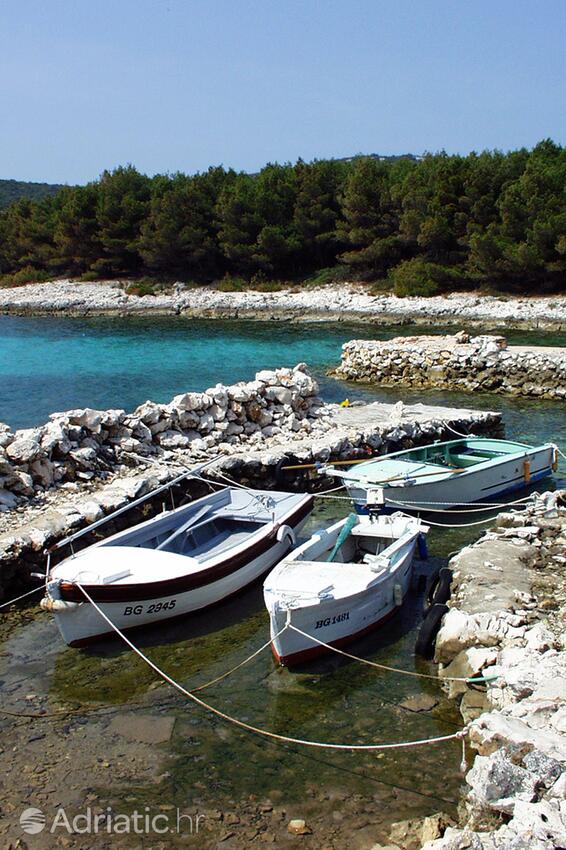 Žinčena on the island Pašman (Sjeverna Dalmacija)