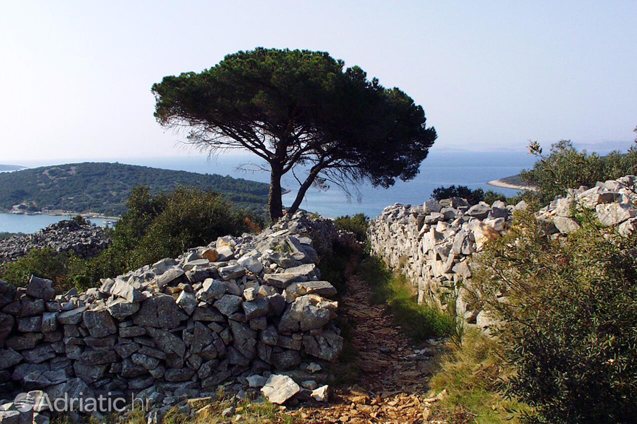 Lanđin on the island Pašman (Sjeverna Dalmacija)