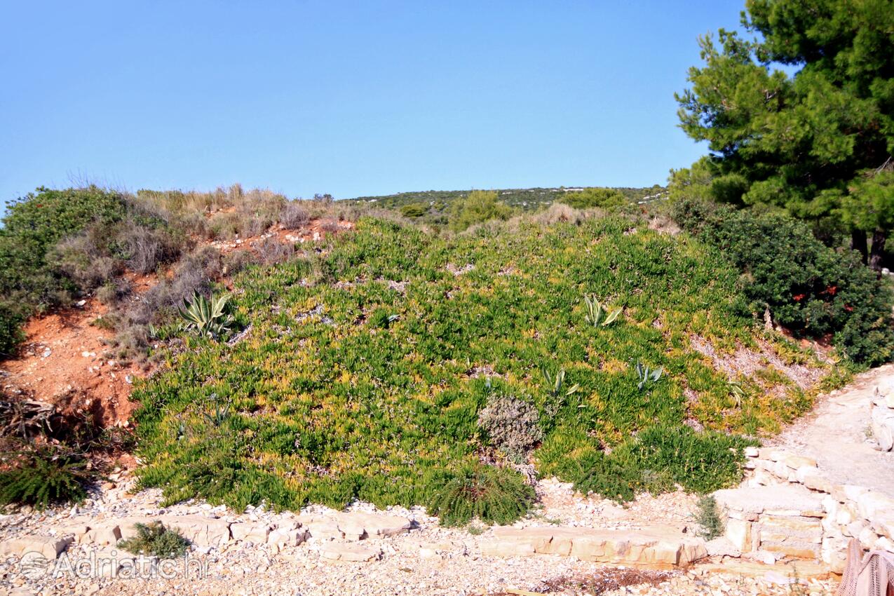 Lanđin on the island Pašman (Sjeverna Dalmacija)