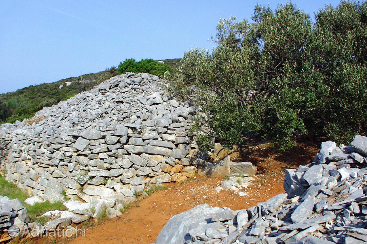 Lanđin op de route Pašman (Sjeverna Dalmacija)