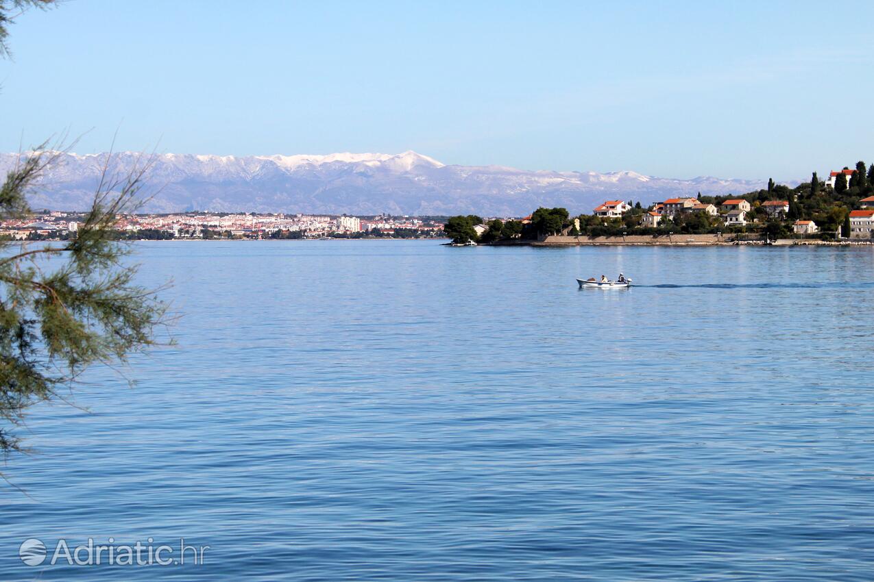 Kali pe insula Ugljan (Sjeverna Dalmacija)