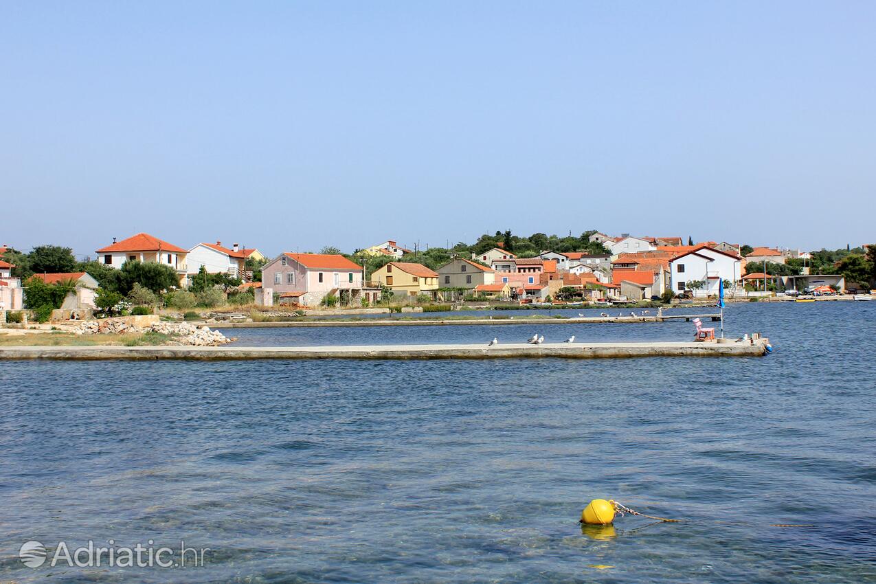 Sutomišćica en el lugar Ugljan (Sjeverna Dalmacija)