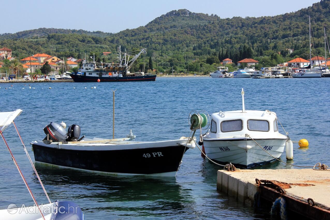 Sutomišćica en el lugar Ugljan (Sjeverna Dalmacija)