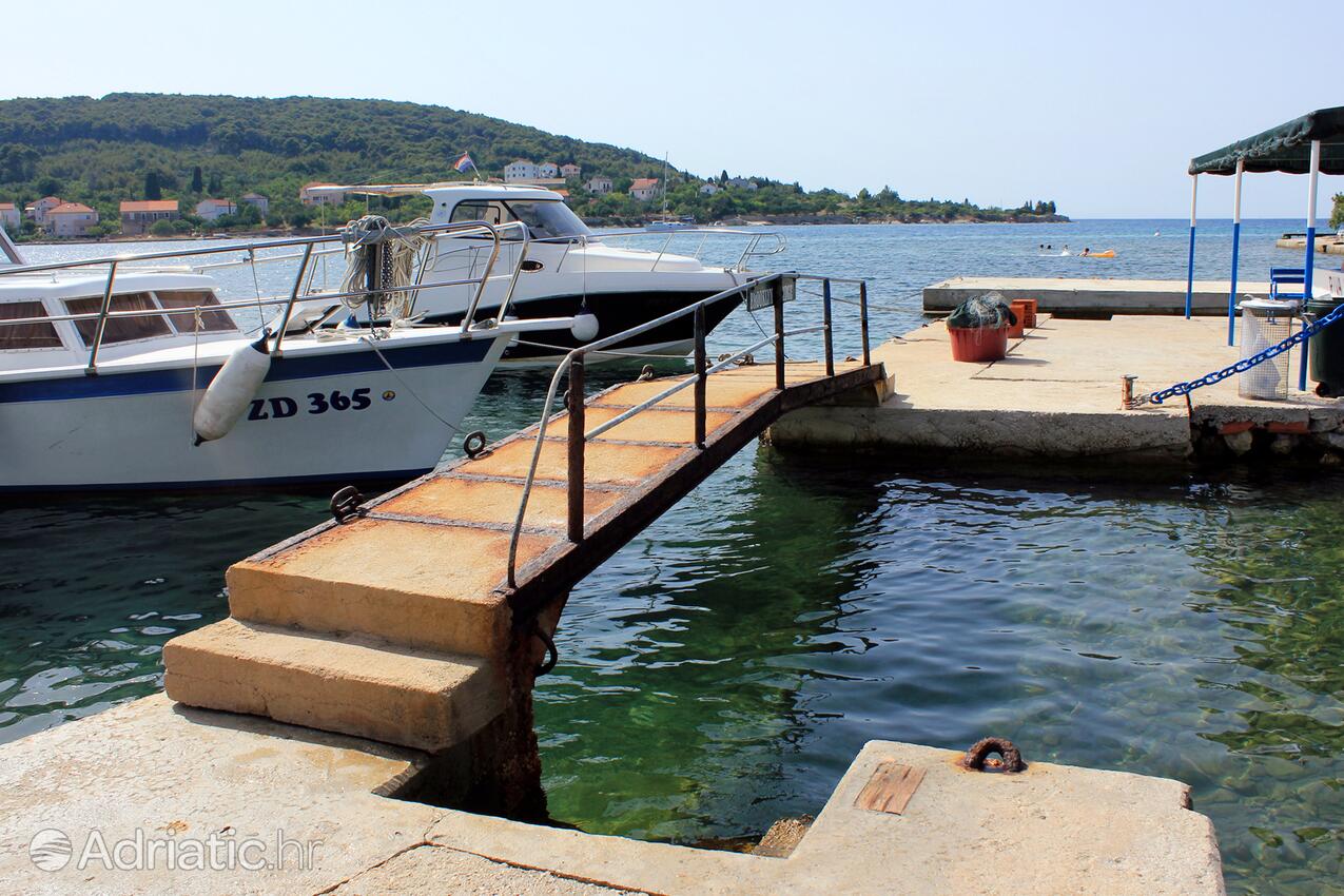 Sutomišćica en el lugar Ugljan (Sjeverna Dalmacija)