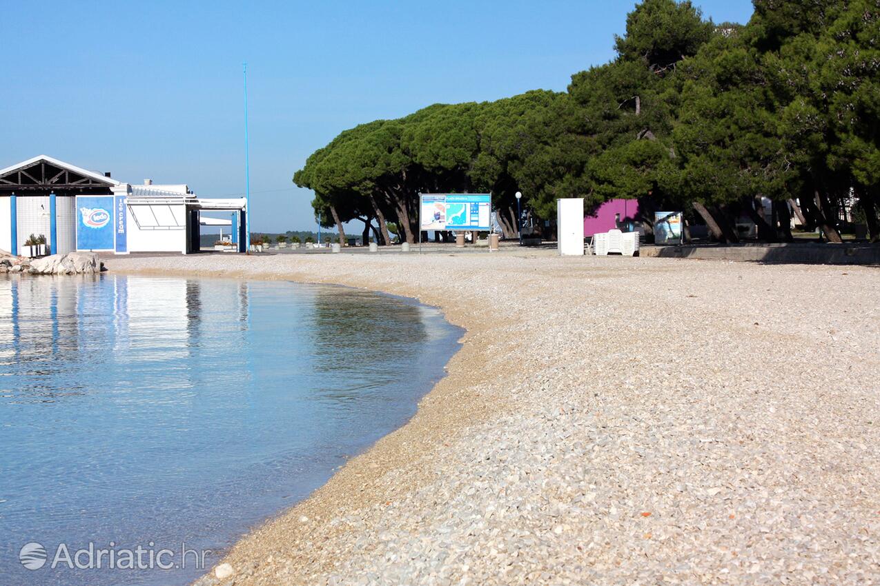 Spiagge nelle vicinanze - Appartamenti con parcheggio Zaravecchia - Biograd na Moru, Biograd