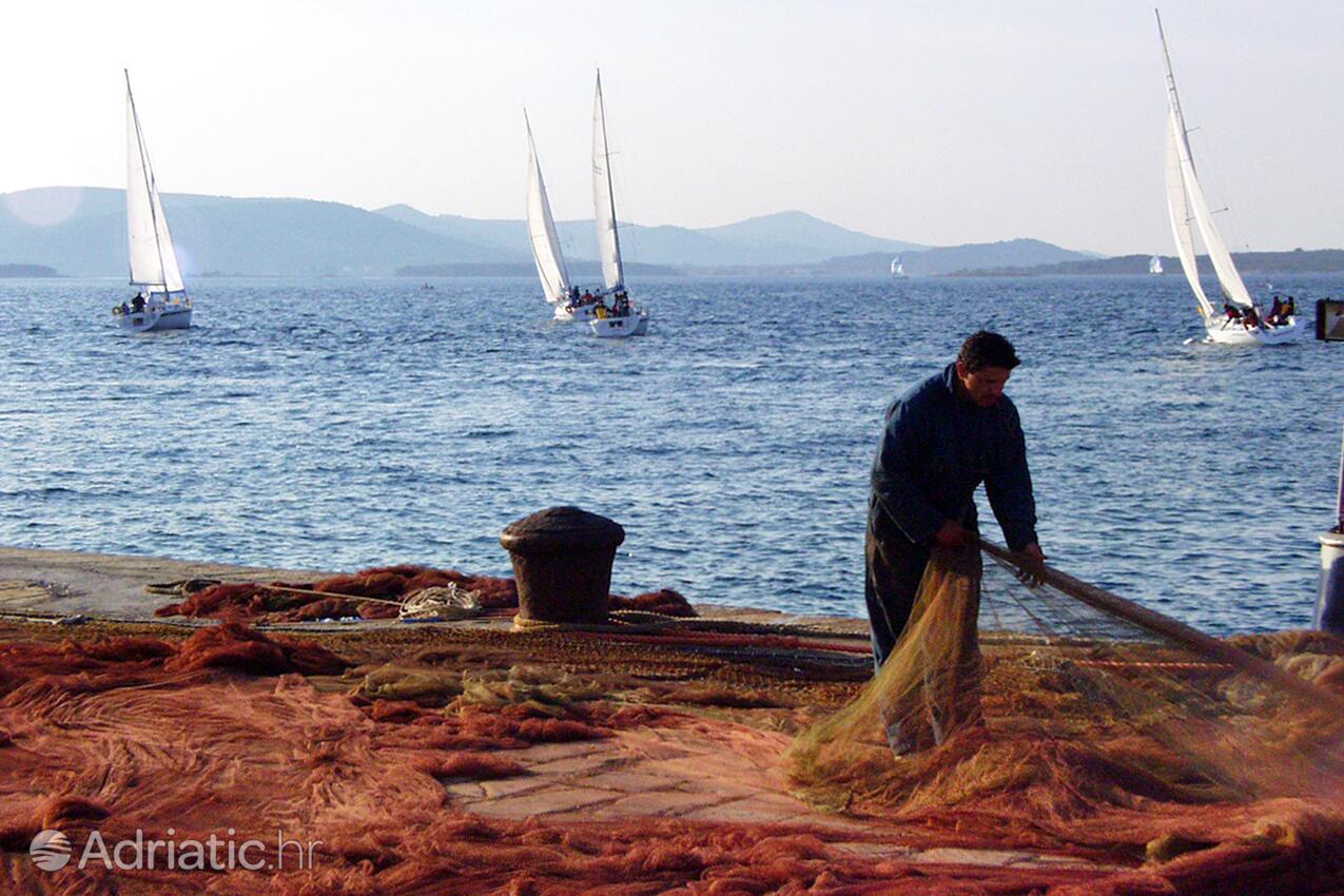 Biograd na Moru u rivijeri Biograd (Sjeverna Dalmacija)