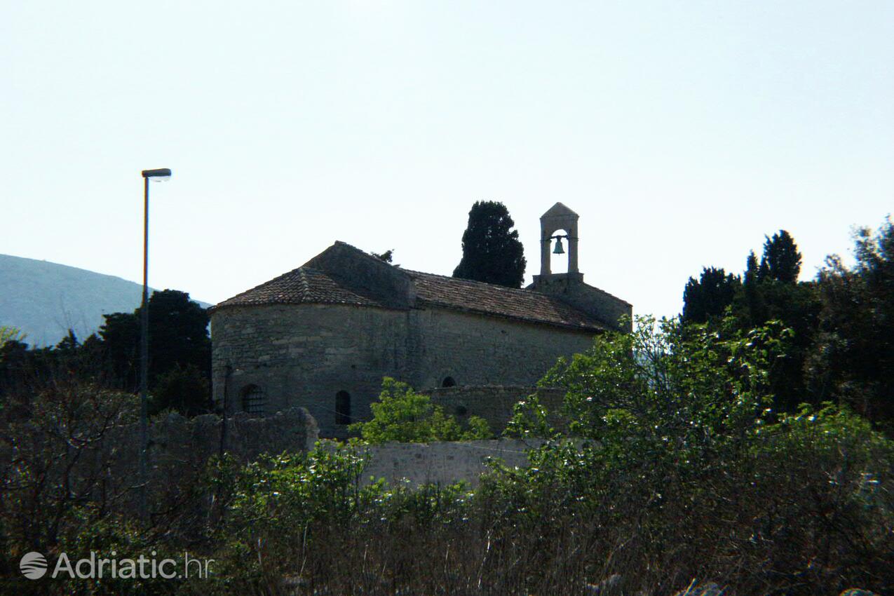 Punta križa auf der Insel  Cres (Kvarner)