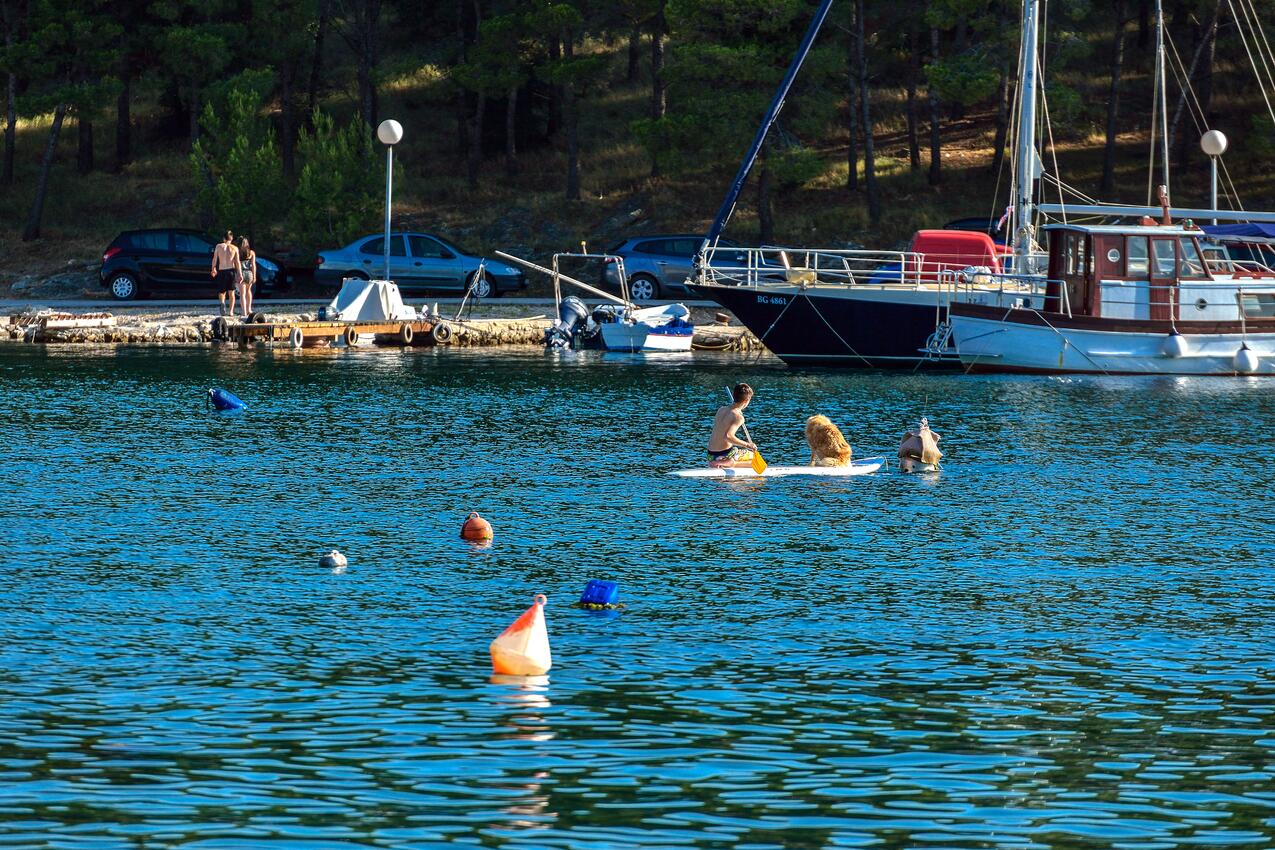 Drage na riwierze Biograd (Sjeverna Dalmacija)