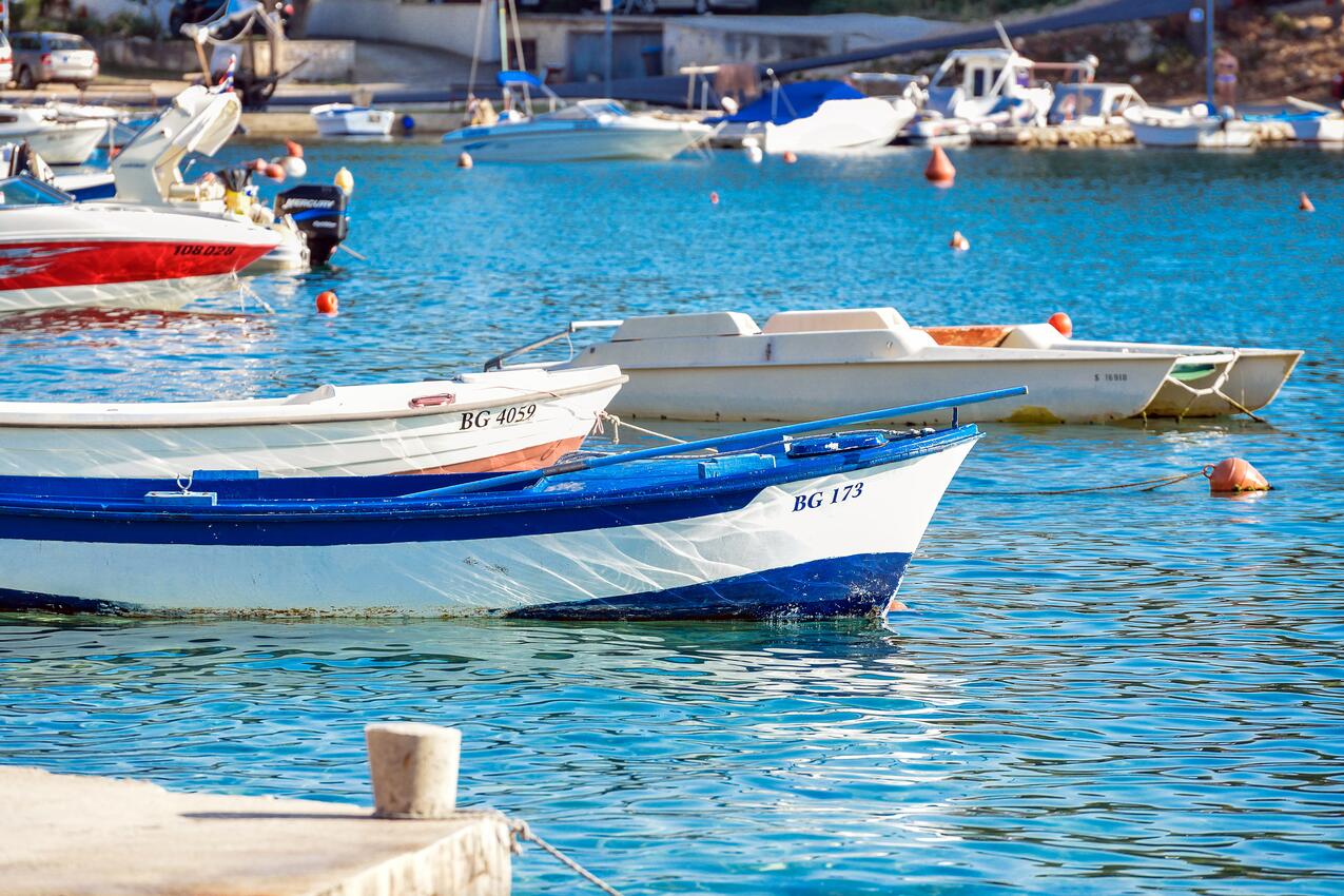 Drage na riwierze Biograd (Sjeverna Dalmacija)