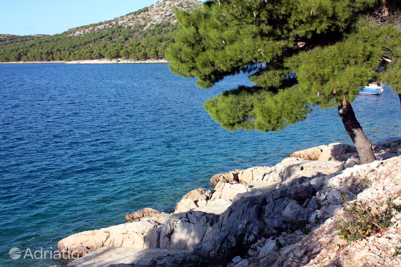 Drage na riwierze Biograd (Sjeverna Dalmacija)