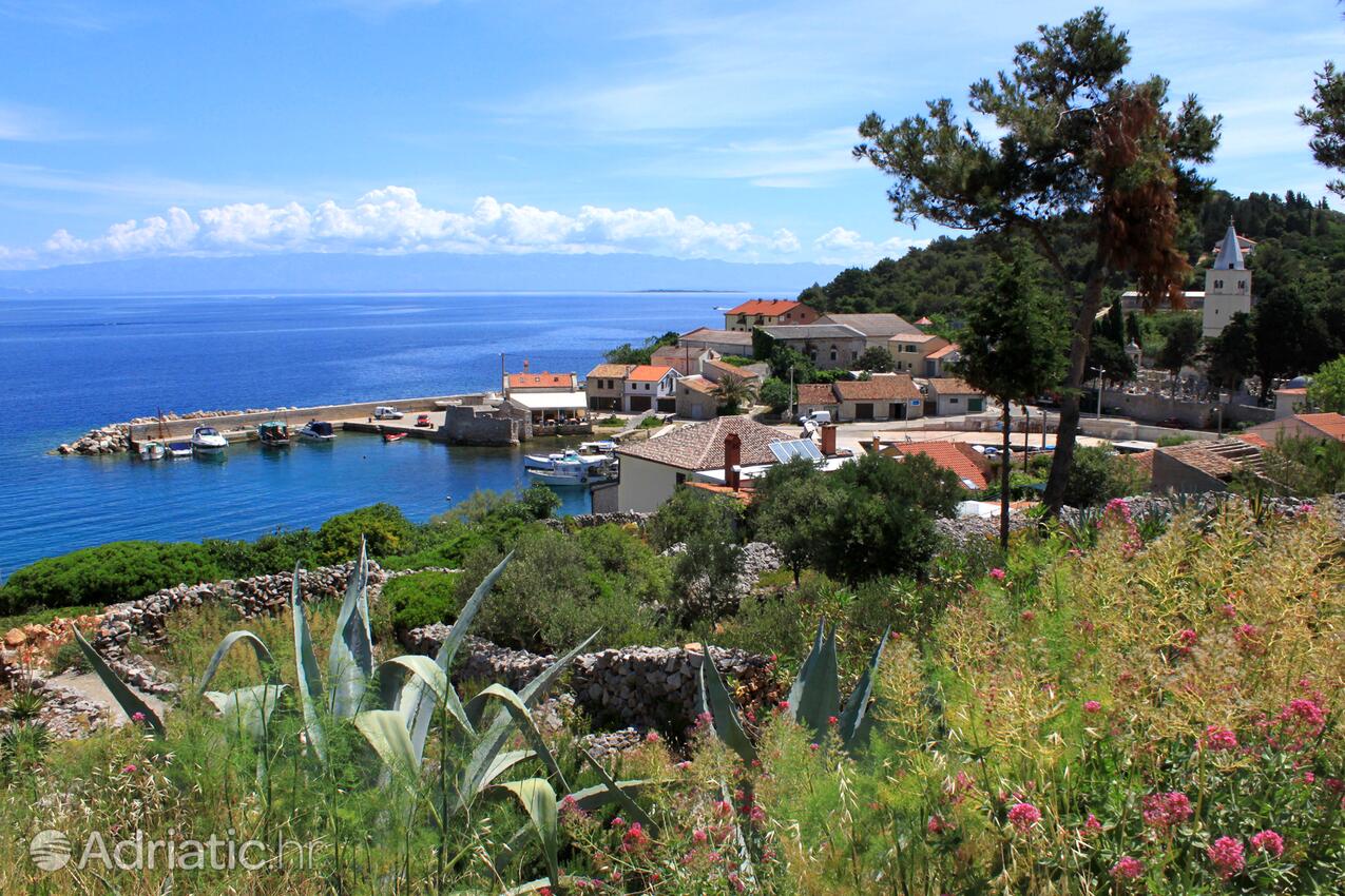 Mali Lošinj pe insula Lošinj (Kvarner)