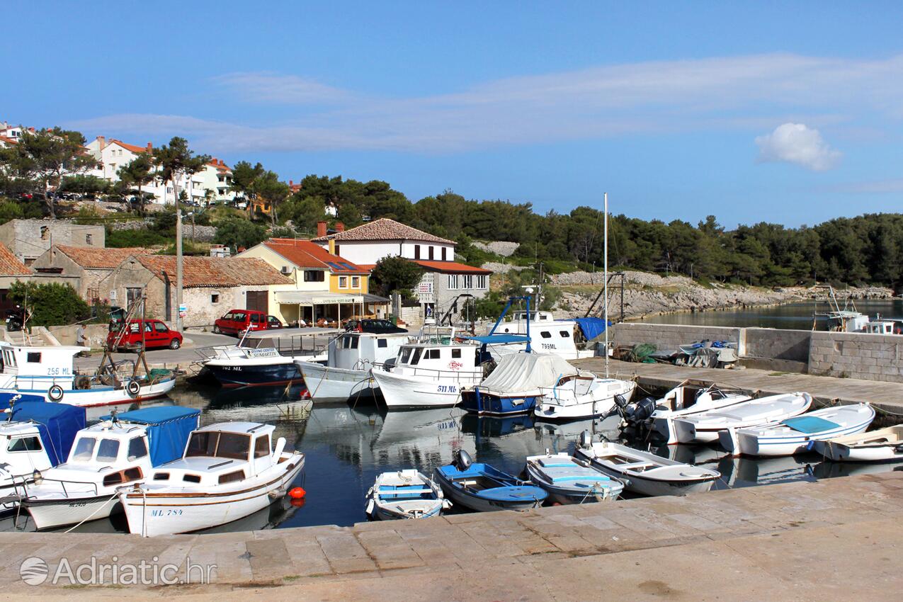 Mali Lošinj pe insula Lošinj (Kvarner)