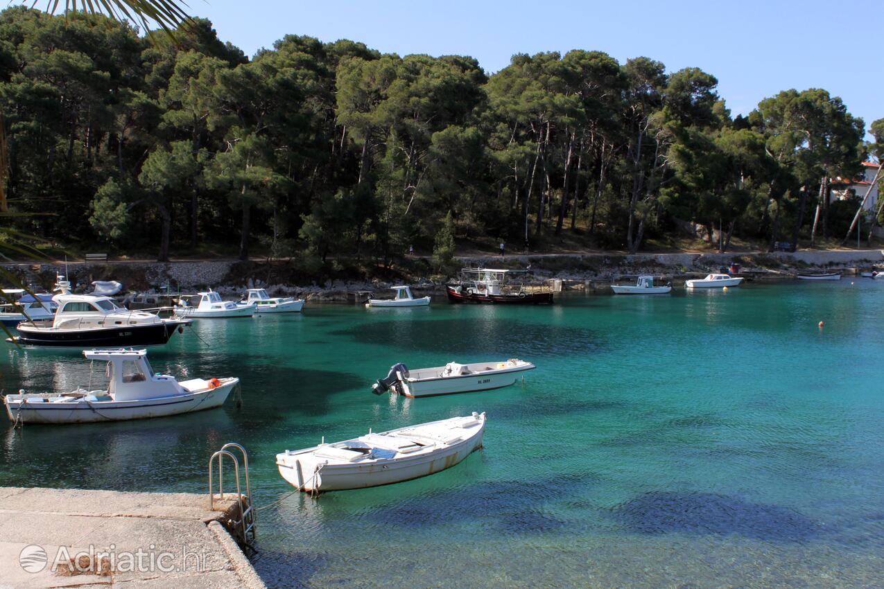 Mali Lošinj pe insula Lošinj (Kvarner)