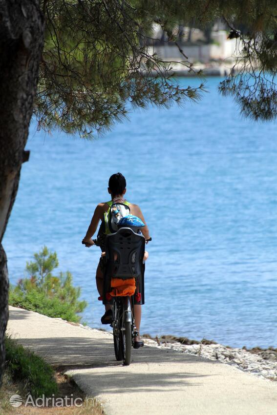 Mali Lošinj pe insula Lošinj (Kvarner)