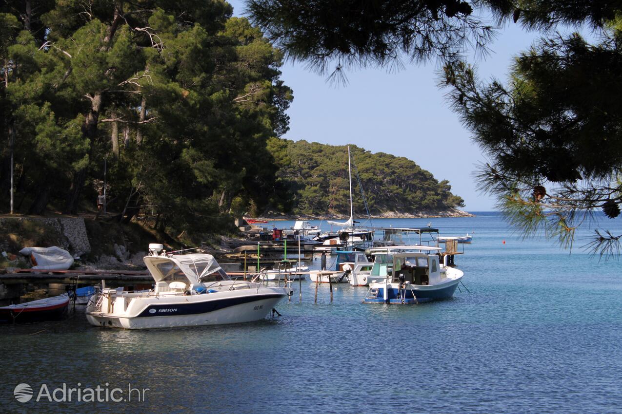 Mali Lošinj pe insula Lošinj (Kvarner)