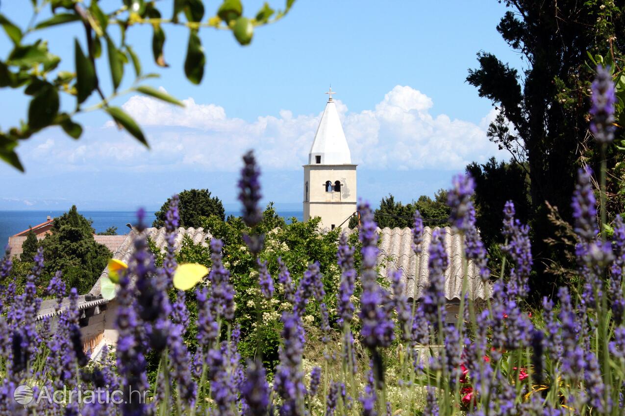 Mali Lošinj pe insula Lošinj (Kvarner)