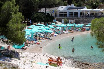 Apartmani i sobe uz more Mali Losinj, Losinj - 7953