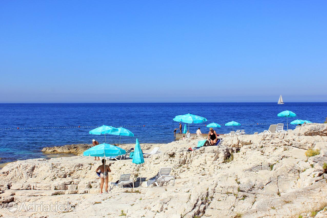 Nearby beaches - Apartments with a parking space Mali Lošinj, Lošinj