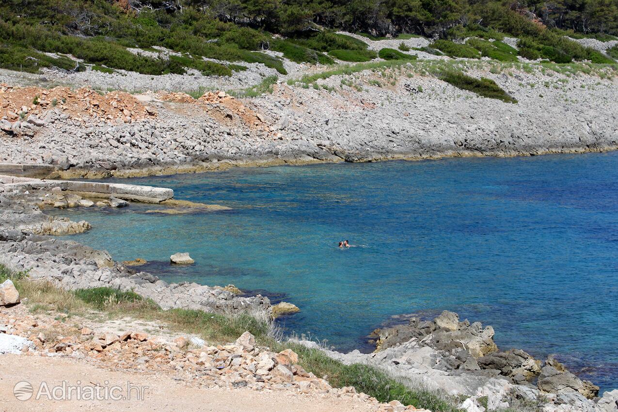 Nearby beaches - Apartments with a parking space Mali Lošinj, Lošinj