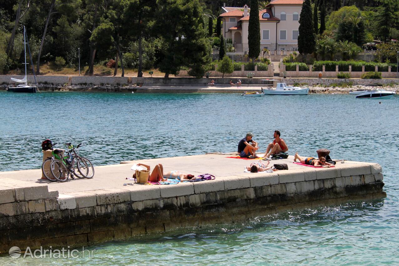 Nearby beaches - Apartments with a parking space Mali Lošinj, Lošinj