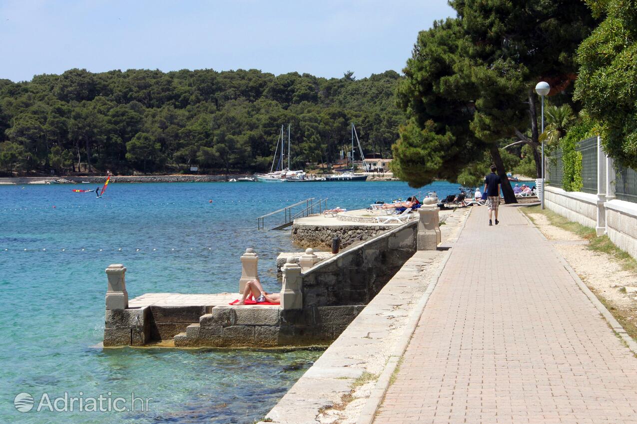 Nearby beaches - Apartments with a parking space Mali Lošinj, Lošinj