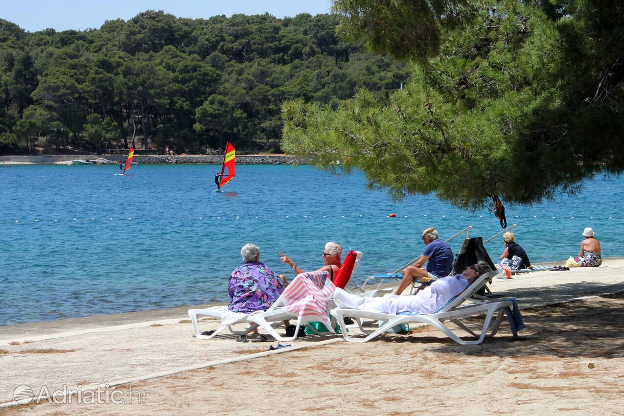 Nearby beaches - Apartments with a parking space Mali Lošinj, Lošinj