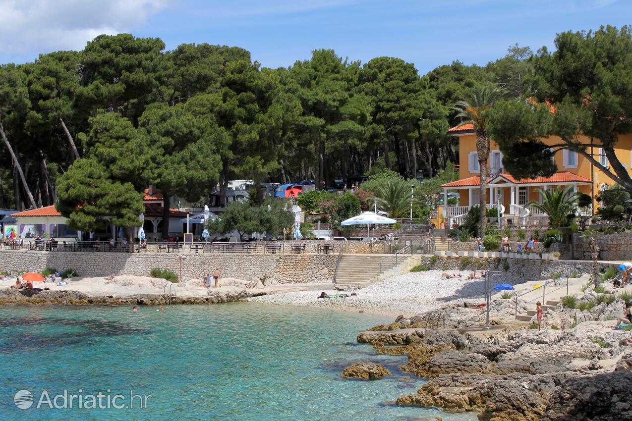 Nearby beaches - Apartments with a parking space Mali Lošinj, Lošinj