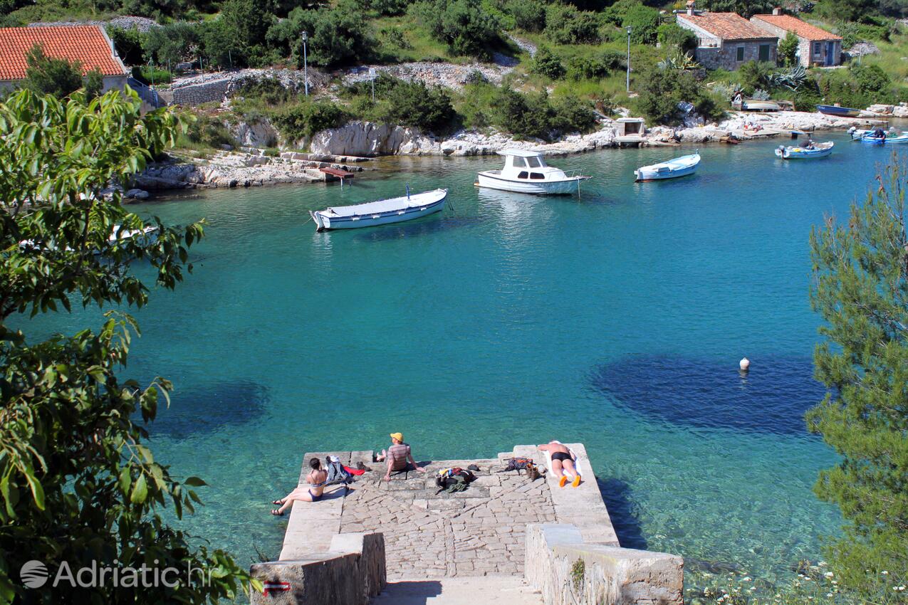 Nearby beaches - Apartments with a parking space Mali Lošinj, Lošinj