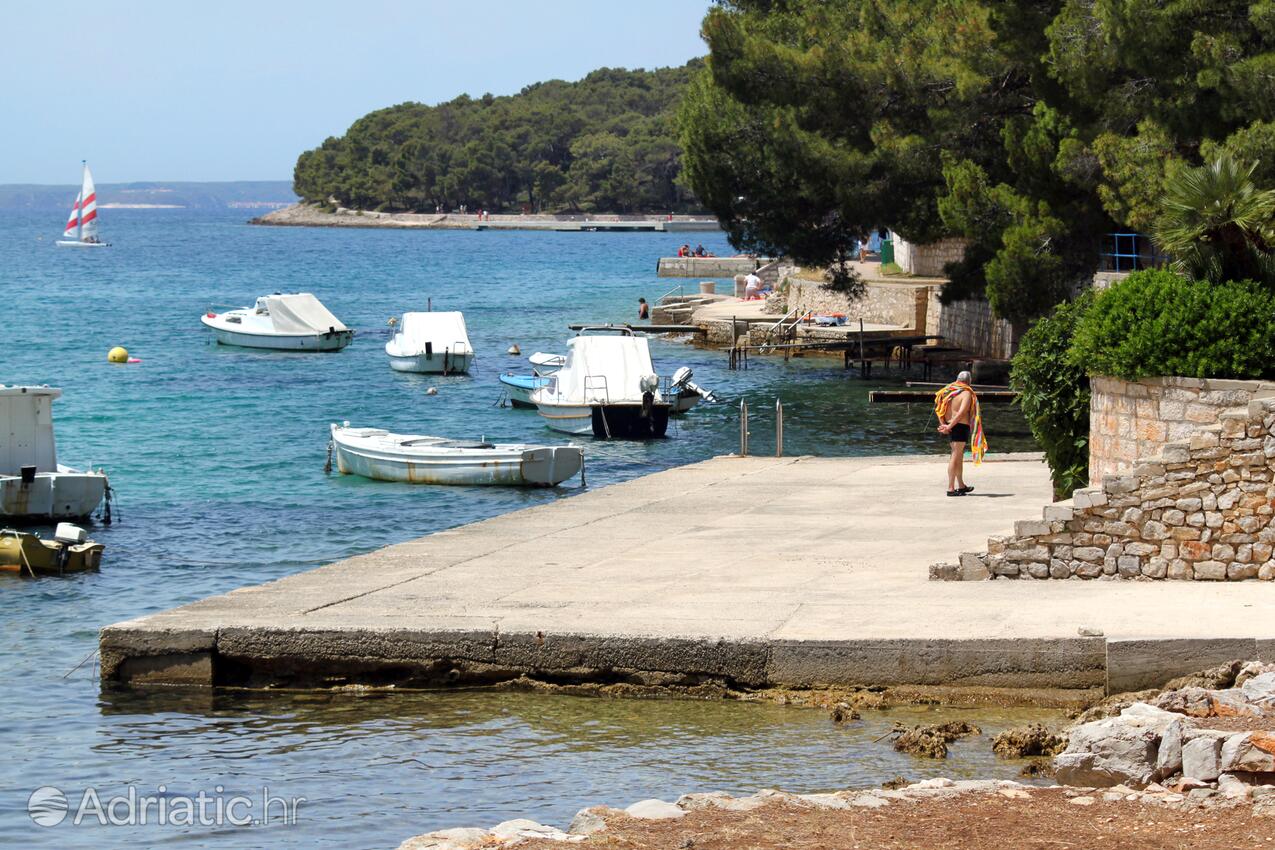 Nearby beaches - Apartments with a parking space Mali Lošinj, Lošinj