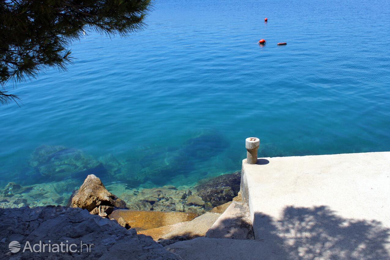 Nearby beaches - Apartments with a parking space Mali Lošinj, Lošinj