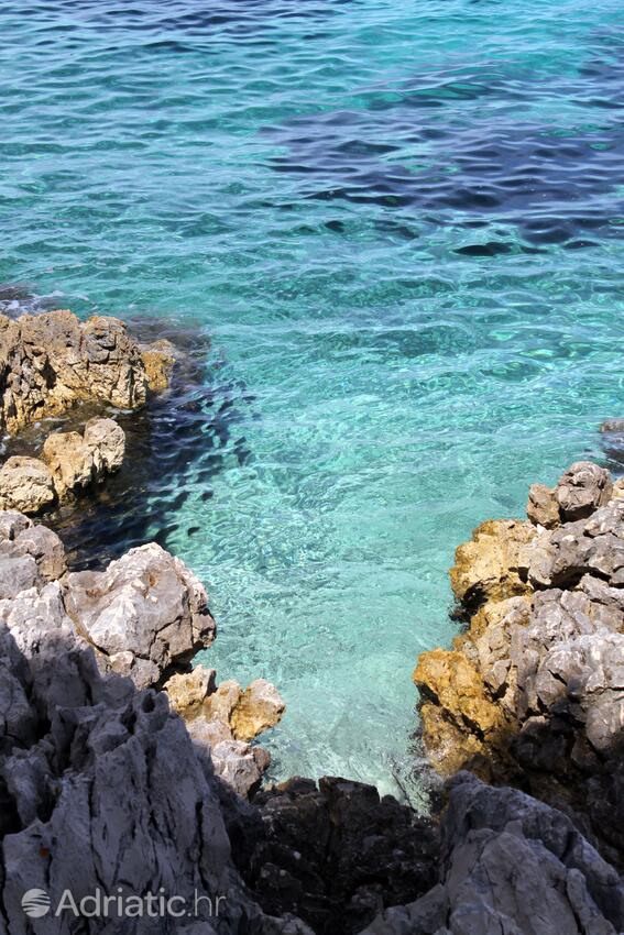 Nearby beaches - Apartments with a parking space Mali Lošinj, Lošinj