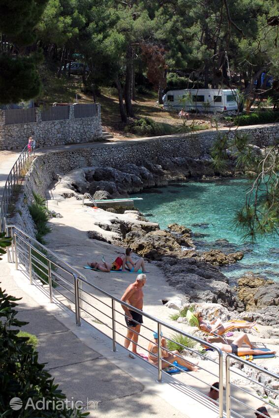 Nearby beaches - Apartments with a parking space Mali Lošinj, Lošinj