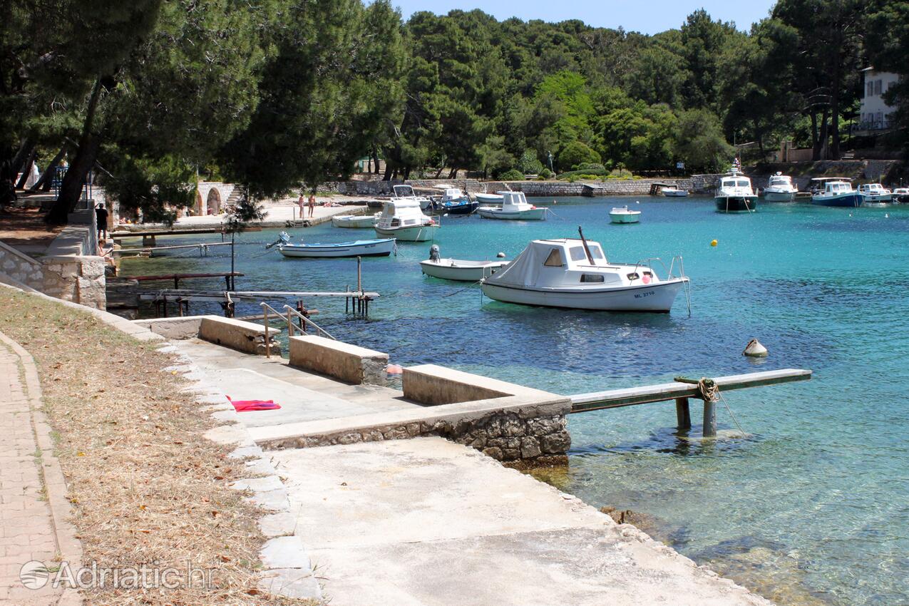 Nearby beaches - Apartments with a parking space Mali Lošinj, Lošinj