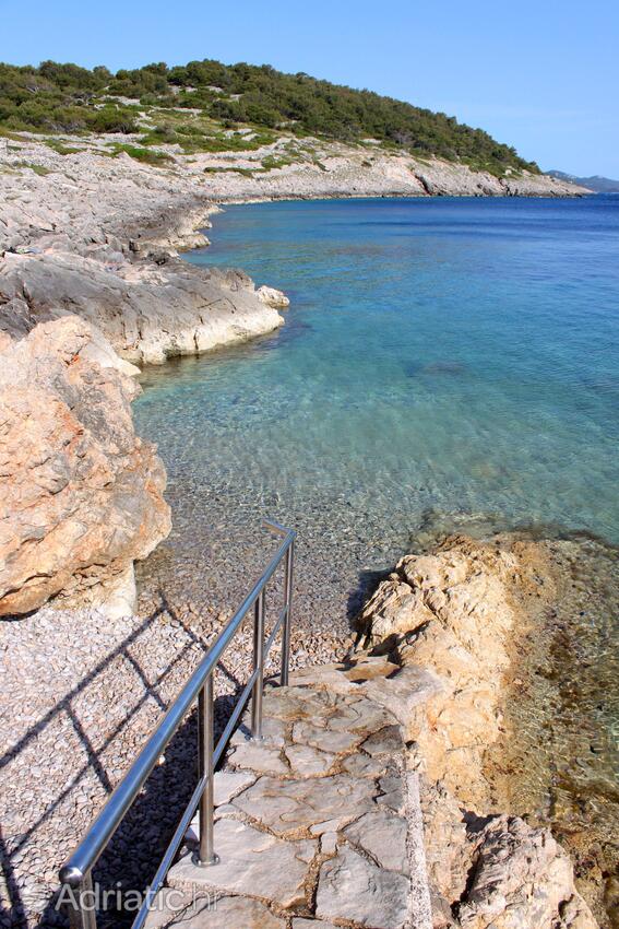 Nearby beaches - Apartments with a parking space Mali Lošinj, Lošinj