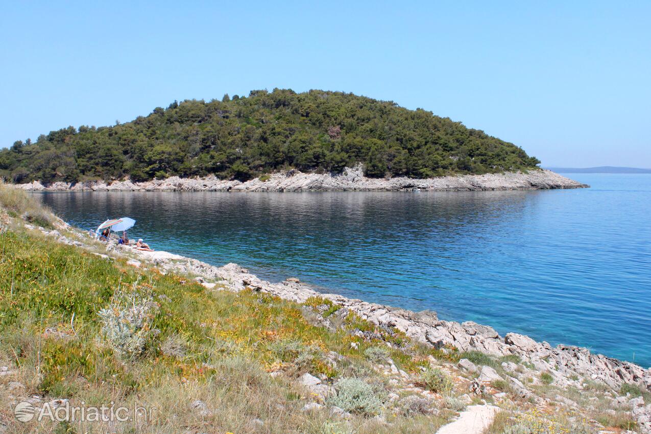 Nearby beaches - Apartments with a parking space Mali Lošinj, Lošinj