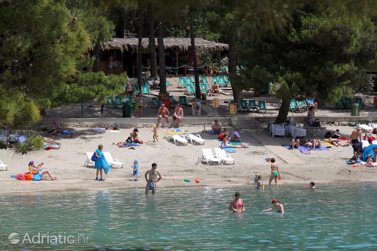 Nearby beaches - Apartments with a parking space Mali Lošinj, Lošinj
