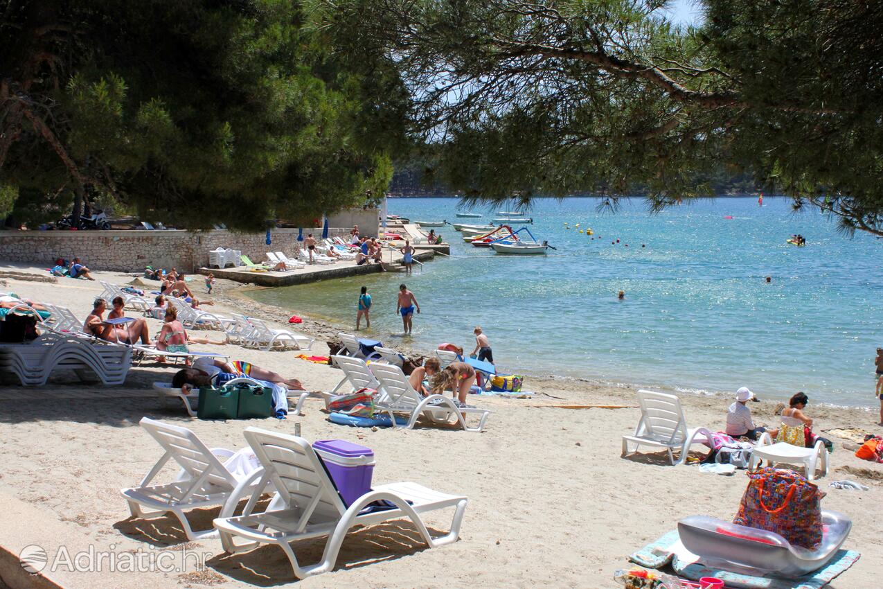 Nearby beaches - Apartments with a parking space Mali Lošinj, Lošinj