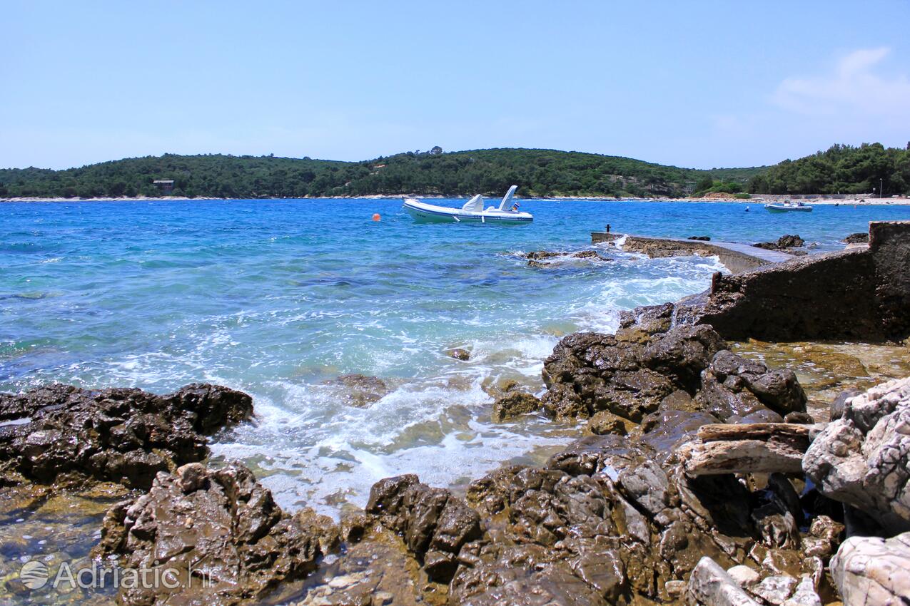 Spiagge nelle vicinanze - Appartamenti e camere con parcheggio Cunski, Lussino - Lošinj