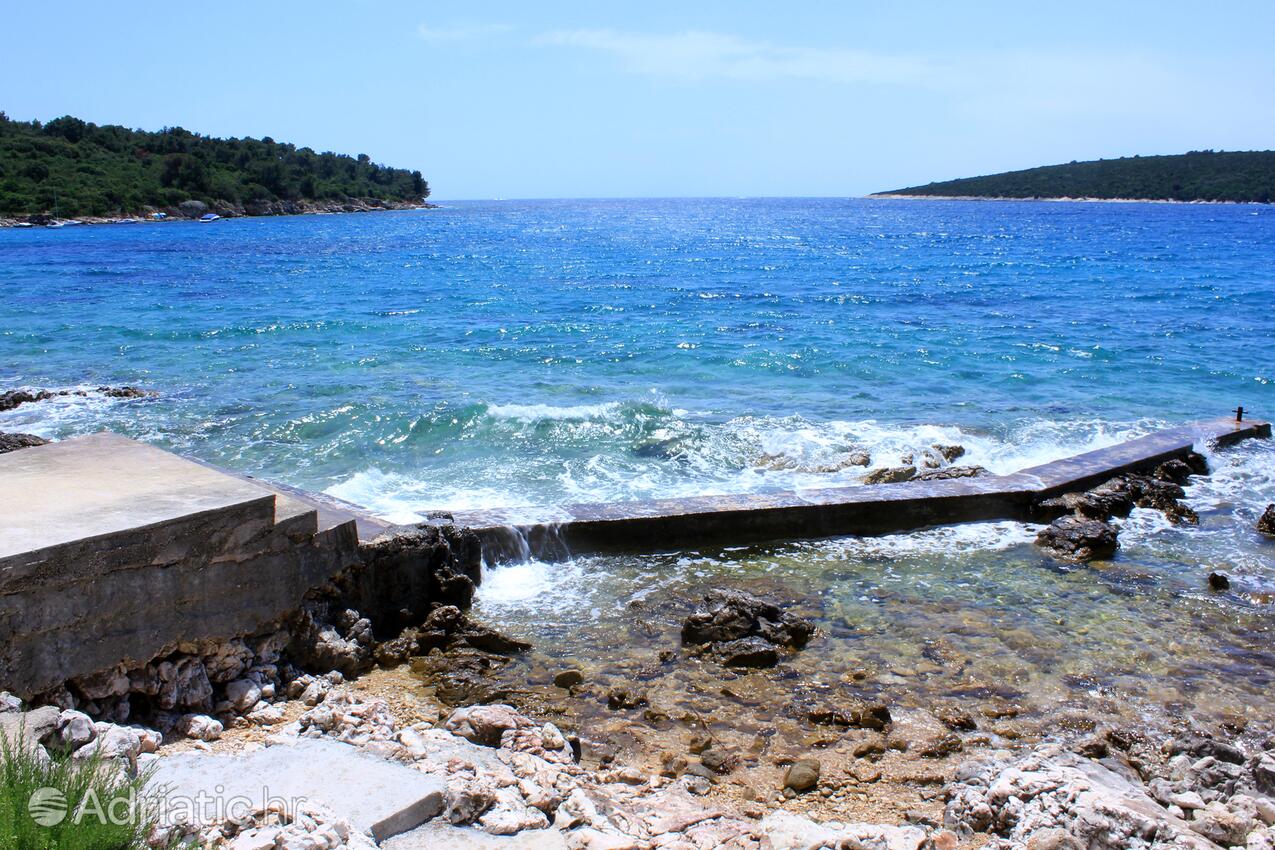 Spiagge nelle vicinanze - Appartamenti e camere con parcheggio Cunski, Lussino - Lošinj