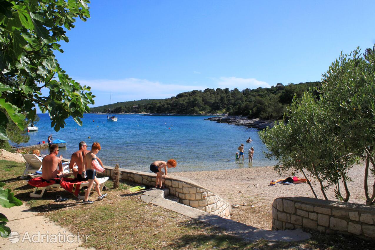 Spiagge nelle vicinanze - Appartamenti e camere con parcheggio Cunski, Lussino - Lošinj